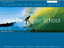 Tablet Screenshot of hairdetanglerschool.com